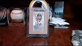 Fernandol Tatis Jr Framed Auto Razz