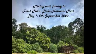 Hiking to Telok Paku, Bako National Park