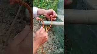 This Simple Knot Will Hold Tight on Any Iron pipe!