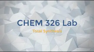 Total Synthesis S 20