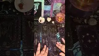 🦋 Pisces - You can only transform once you  face the whole truth 🦋 #pisces #Tarot #piscesreading 