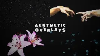 𝐀𝐄𝐒𝐓𝐇𝐄𝐓𝐈𝐂 𝐎𝐕𝐄𝐑𝐋𝐀𝐘𝐒 𝐏𝐀𝐂𝐊 ✿*:･ﾟ