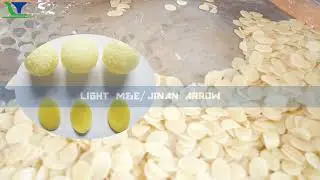 Panipuri 3D Pellet Extruder machine 2D Pellet extruder machine line food extruder machine