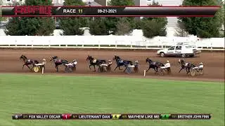 Red Mile Racetrack 09/21/2021 Race 11