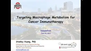 Targeting macrophage metabolism for cancer immunotherapy