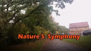 Nature&rsquo;s Symphony | Autumn in the UK | Adventure Blog | Holidaymaker