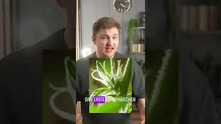 WIE man ZWITTER ERKENNT🥦 | #greennode #shorts