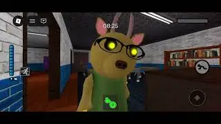 Moppy