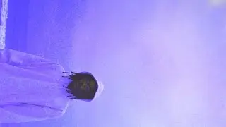 CLOUD ATRIUM - POLARITY (VISUAL+)