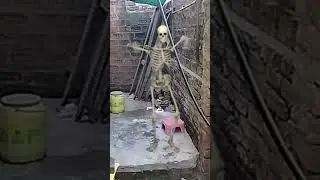 real human skeleton dance horror video #shorts