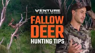 Expert Tips for Hunting Fallow Deer in Australia: Pre-Rut, Peak Rut & Post-Rut Strategies