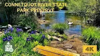 Best Parks to Hike on Long Island: Connetquot River State Park Preserve