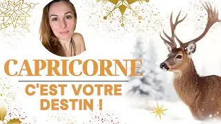 ♑️ CAPRICORN JANUARY ❄️ IT'S YOUR DESTINY! THE DIRECTION IS CLEAR