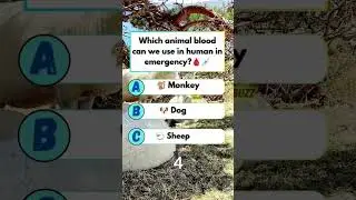 Almost American Gets This Wrong 😳which animal blood can be used in human in emergency#usa #amercia