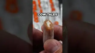 Will It Blend? - COW TALES #shorts