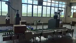 Automatic palletizing system for carton packing.#machine #robot #packaging #ecommerce #carton #box