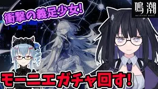 【鳴潮】焦熱パを組みたい…【バ美肉vtuber】