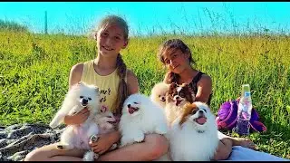 Весёлый пикник с собаками 💚  Sisters S & PETs 😏