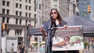 Ban NYC Horse Carriages | Edita Birnkrant Demands Ryder&rsquo;s Law to Save Horses
