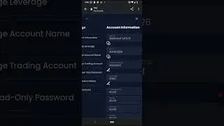 Форекс: как открыть брокера XM и получить удвоение депозита с помощью Momo