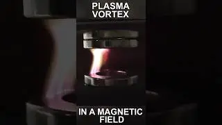 Plasma Vortex in a Magnetic Field