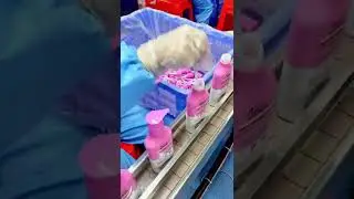 Cosmetics Production Process | Private Label HairCare