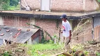 Manual Branch Cutting Techniques in Rural Farming #RuralAgriculture #TraditionalFarming
