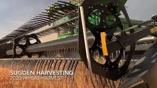 Sugden Harvesting / 2020 Wheat Harvest