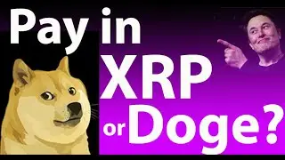 XRP is for retail, Doge payments,Web 3.0 empowers Crypto Community, John Deaton Interview, Ripplenet