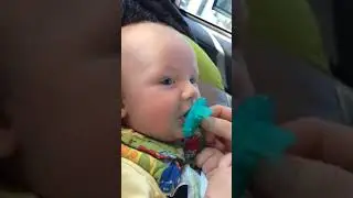 Baby Owen