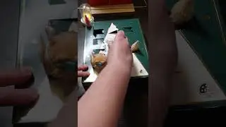 Thomas Dux 12 Days of Cheese Advent Calendar, Is It Worth It? #shorts
