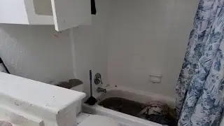 Management at NW Houston condominiums unreachable after raw sewage floods family home for months