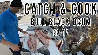 Spearfishing Catch and Cook: Wormy Bull Black Drum