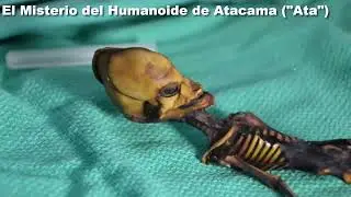 EL MISTERIO DEL HUMANOIDE DE ATACAMA