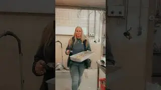 ✨ Mee achter de schermen: goud smelten met Daphne