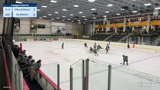 NS 10U Minor Wettin vs SAHA mazz league