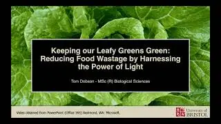Keeping our Leafy Greens Green: Reducing Food Wastage by Harnessing the Power of Light- Tom Dobson