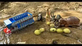 Toy Wild Safari Zoo Animals | truck wala cartoon |Dream Toys XYZ| Truck gadi wala cartoon|Игрушки