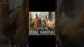 Farm animals - Spanish vocabulary - I learn spanish