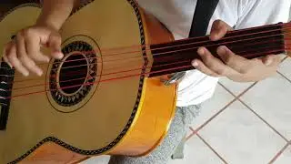 Guitarrón La Bikina-Luis M.