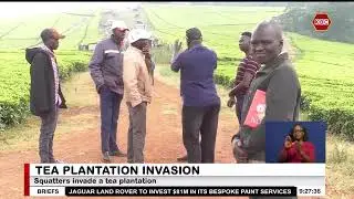 Squatters invade 350-acre Sitoi tea Estate in Nandi County