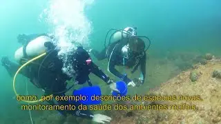 Atuação profissional em Biologia Marinha: exemplos de pesquisadoras do CEBIMar/USP