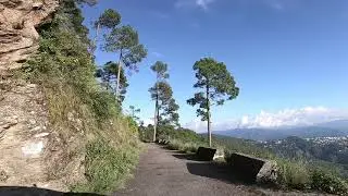 HIPPIE HILL : KASAR DEVI STREET VIEW 