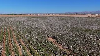 Rural Arizona Farm Footage | Drone Videography by Southwest Drone Tech