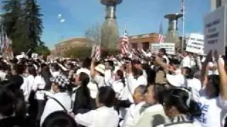 Hmong American Protest 3-15-2010.mov