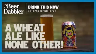 Drink This Now: The surprising flavors of 3 Floyds Gumballhead