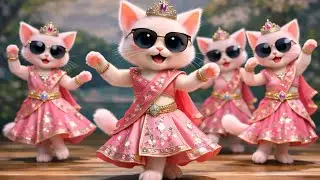 So Beautiful 😻 This Cat Dance Is Unforgettable