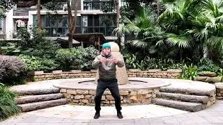 Golden Light Taiji Ruler &mdash; Form Practice