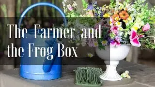 The Farmer and the Frog Box