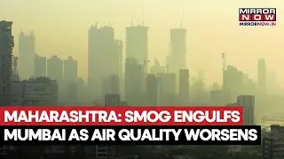 Maharashtra News: Smog Engulfs Mumbai As Air Quality Worsens As AQI Nears 300 | Watch